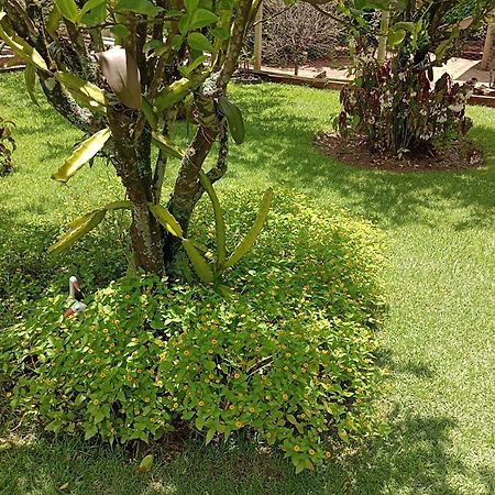 Pousada Chacara Vivalli Holambra Exterior photo
