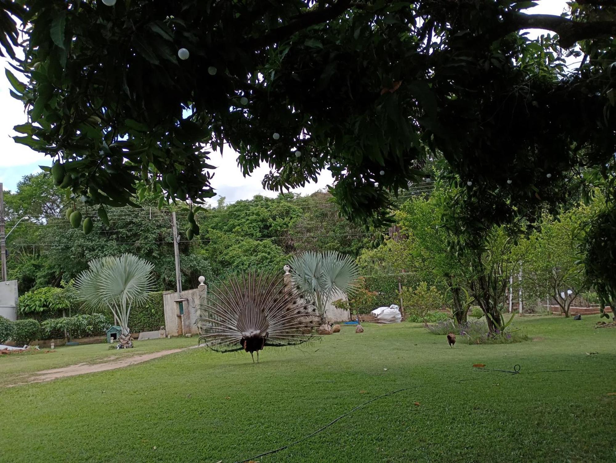 Pousada Chacara Vivalli Holambra Exterior photo